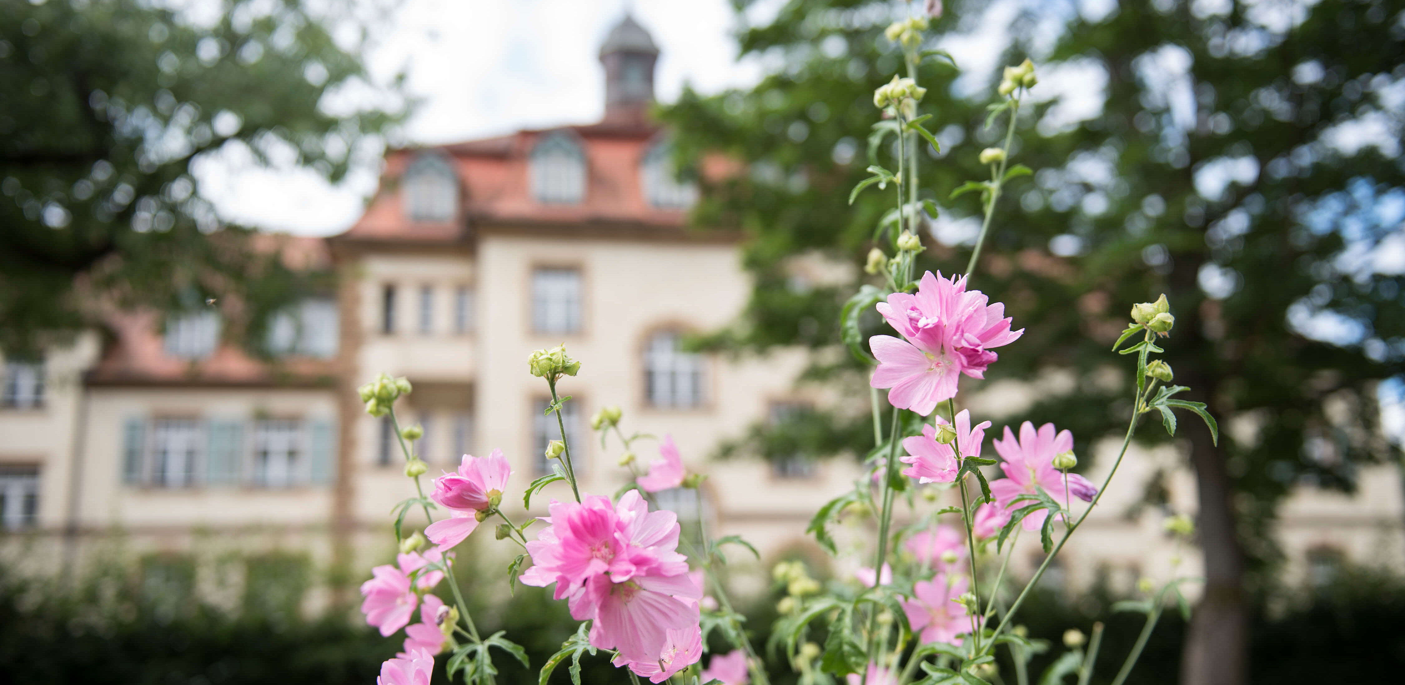 Verwaltungsgebäude des Bezirksklinikums Obermain